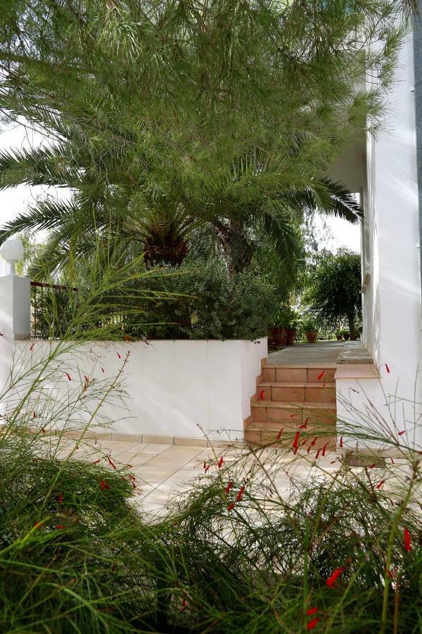 Sunny Garden Studio Hotel Nikosia Bagian luar foto
