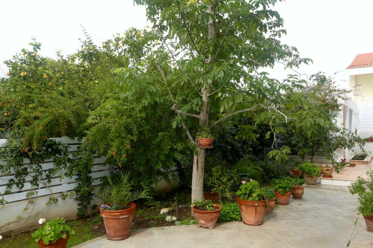 Sunny Garden Studio Hotel Nikosia Bagian luar foto